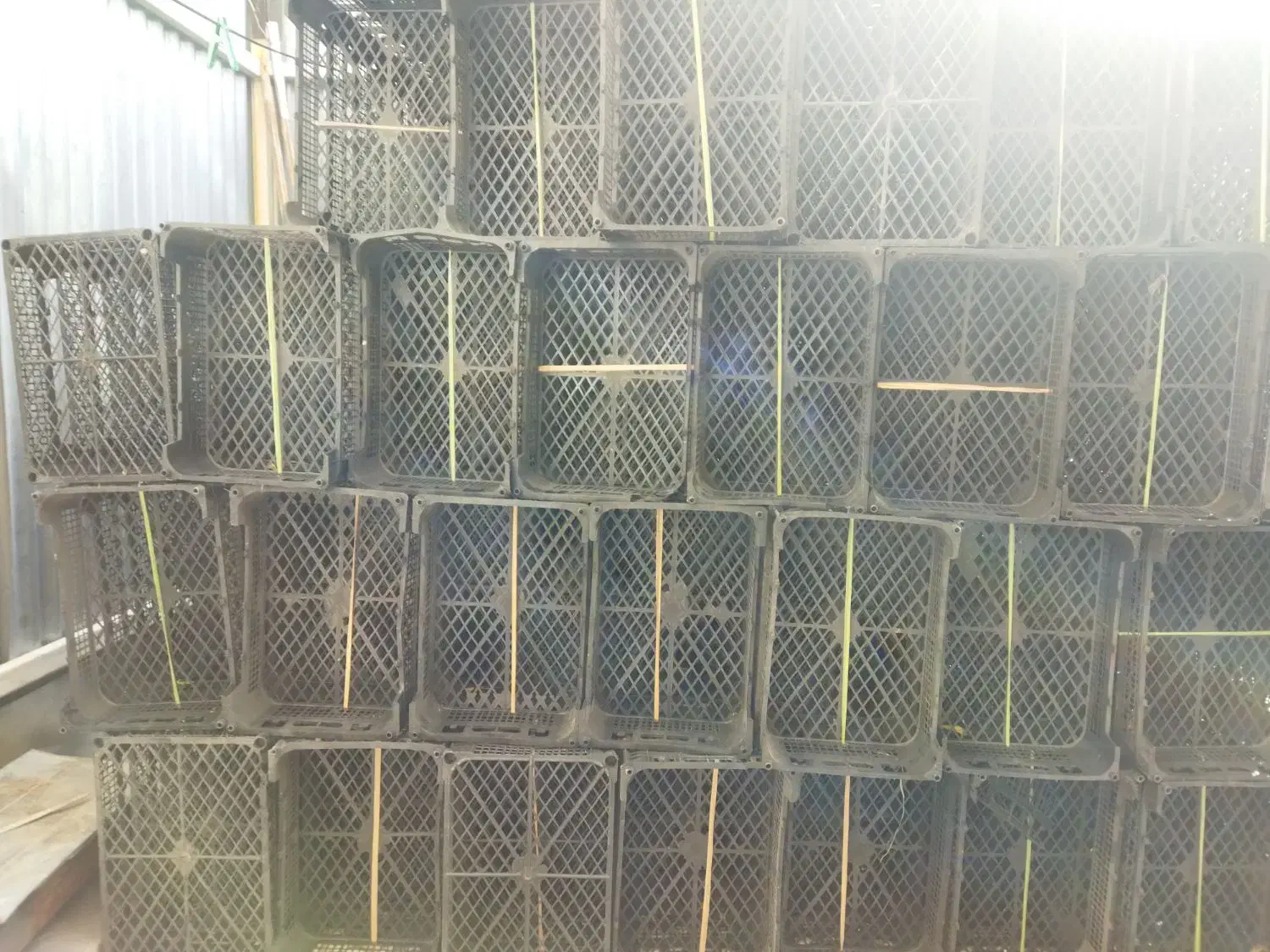 سبد میوه ای درجه یک|ظروف نگهدارنده، پلاستیکی، یک‌بارمصرف|خمینی‌شهر, |دیوار