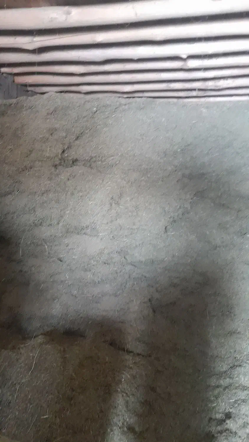 علوفه یا گیاه دام|لوازم جانبی حیوانات|کرفتو, |دیوار