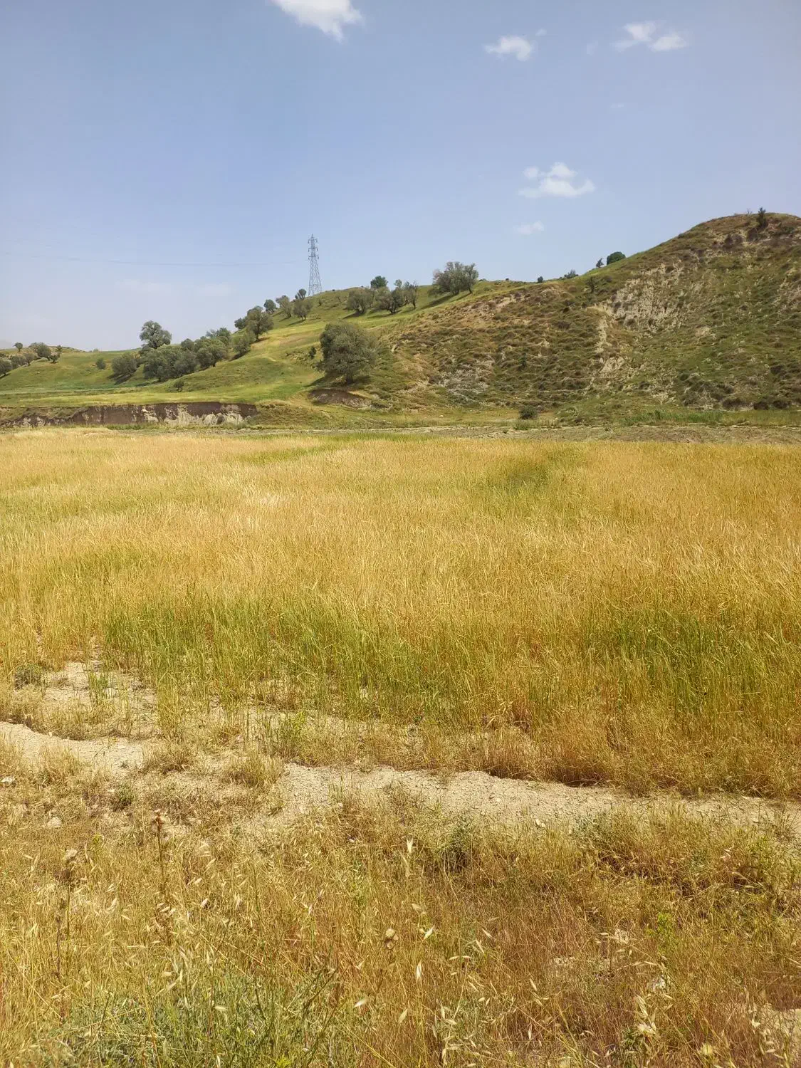 ۳هزار متر زمین کشاورزی ابی|فروش خانه و ویلا|چوار, |دیوار