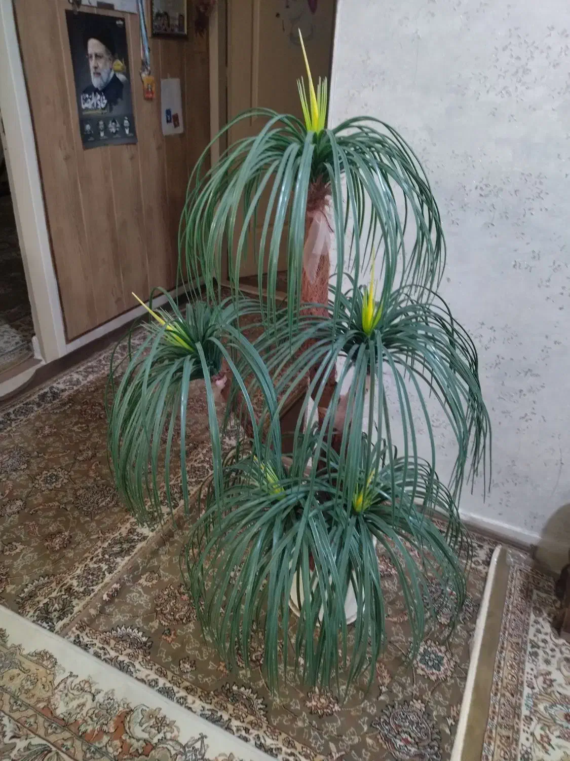 نخل|گل و گیاه طبیعی|سبزوار, جوادیه غربی|دیوار