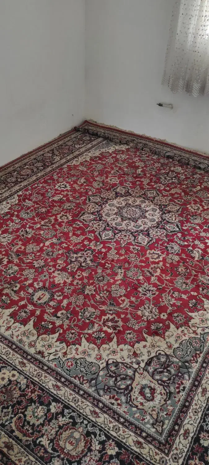 فرش ۱۲ متری|فرش|دابودشت, |دیوار