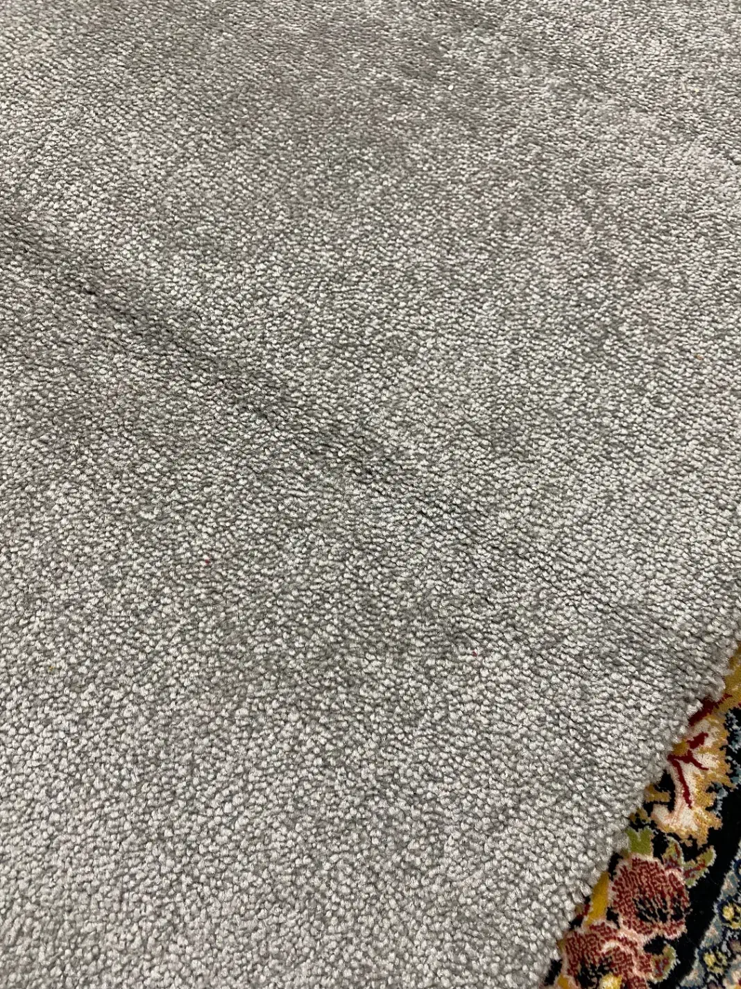 پالاز موکت نو|موکت|قم, کیوانفر|دیوار