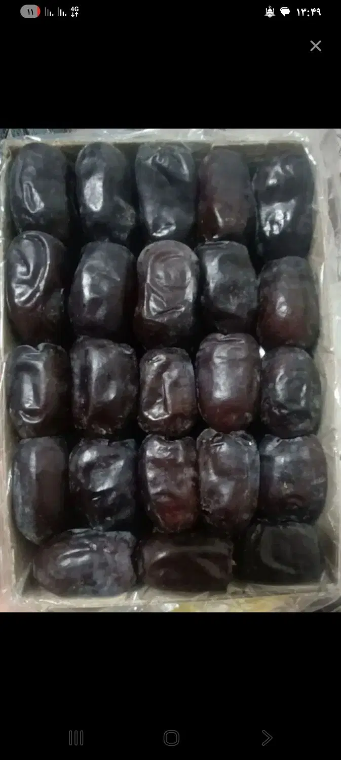 خرما|عمده‌فروشی|بم, |دیوار