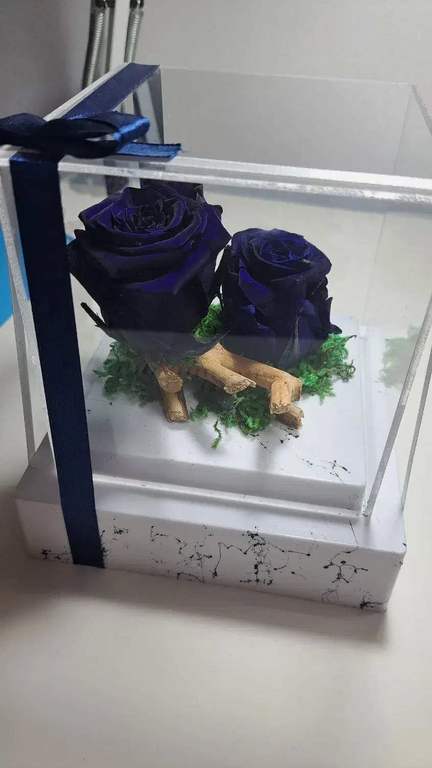 گل رز|گل و گیاه طبیعی|صدرا-فارس, فاز ۱|دیوار