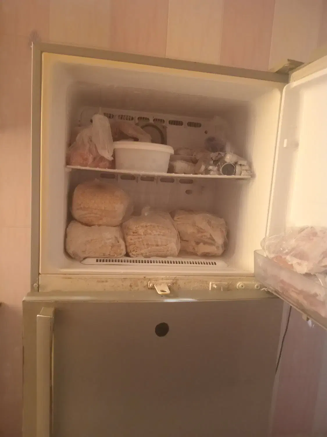 یخچال فریزر|یخچال و فریزر|خورموج, |دیوار