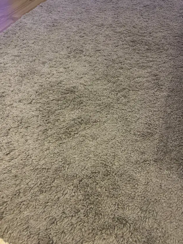 فرش خرمشهر|فرش|کرج, شاهینویلا|دیوار