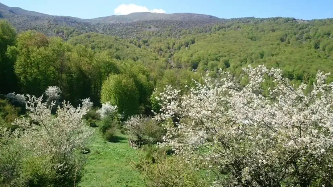 راهنمایی میخوام|فعالیت داوطلبانه|تهران, آهنگ|دیوار