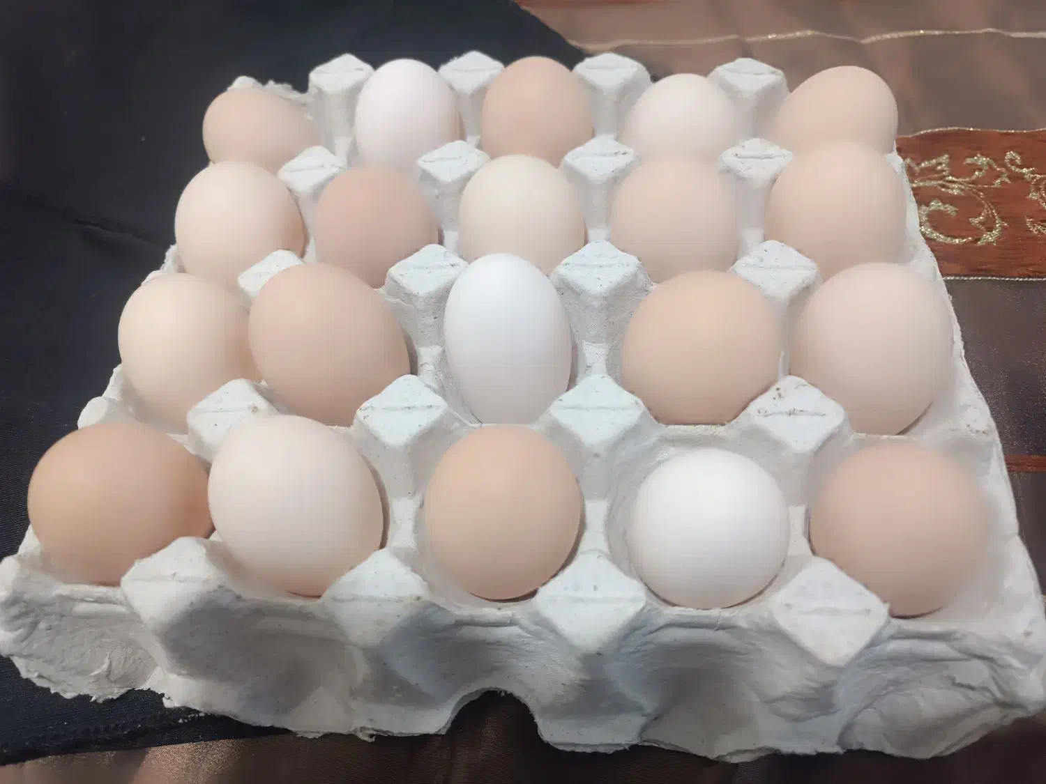 تخم مرغ نطفه دار|حیوانات مزرعه|ماهدشت, |دیوار