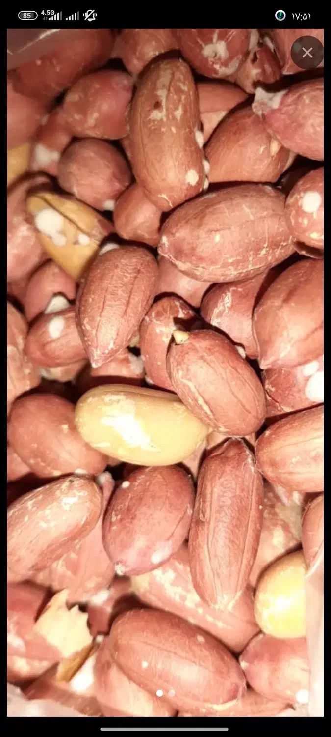 فروش و پخش کلیه محصولات خشکبار و تحویل در محل|عمده‌فروشی|خرمدره, |دیوار