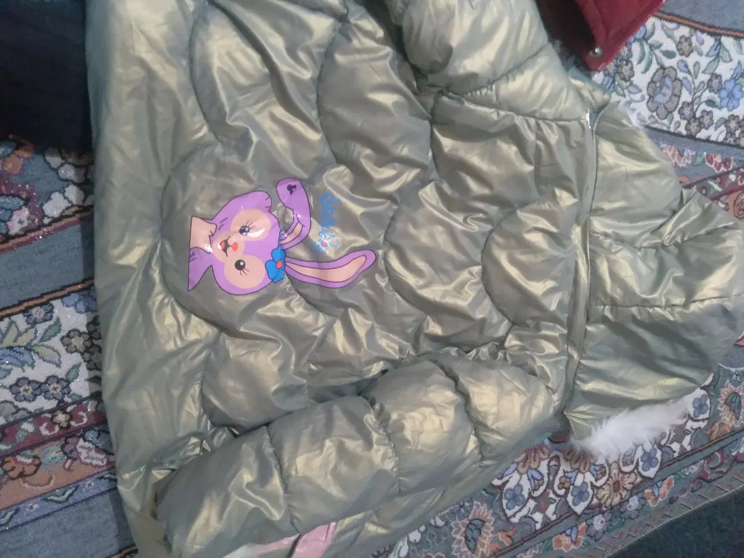 دوتا کاپشن مناسب ۳تا۶سال|کفش و لباس بچه|کرج, حصارک پایین|دیوار