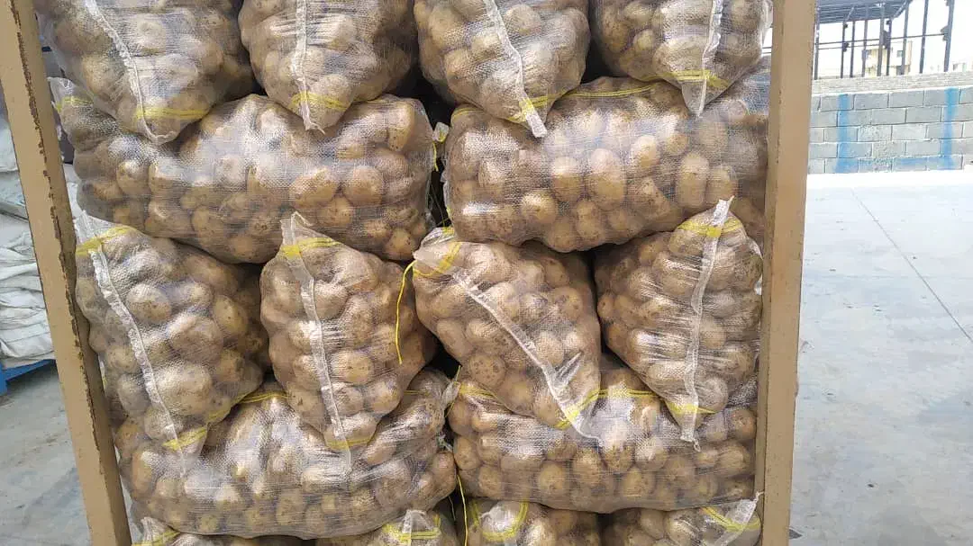 سیب زمینی آگریاوجلی خوراک و بذری ،انواع بذرها|عمده‌فروشی|داران, |دیوار