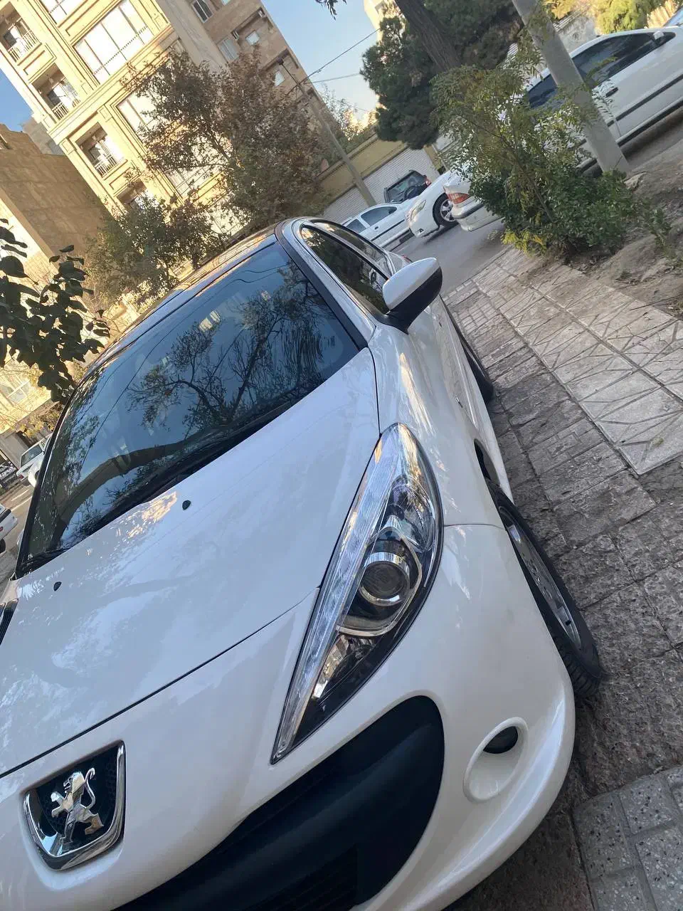 207پانا402برقی|خودرو سواری و وانت|مشهد, احمدآباد|دیوار