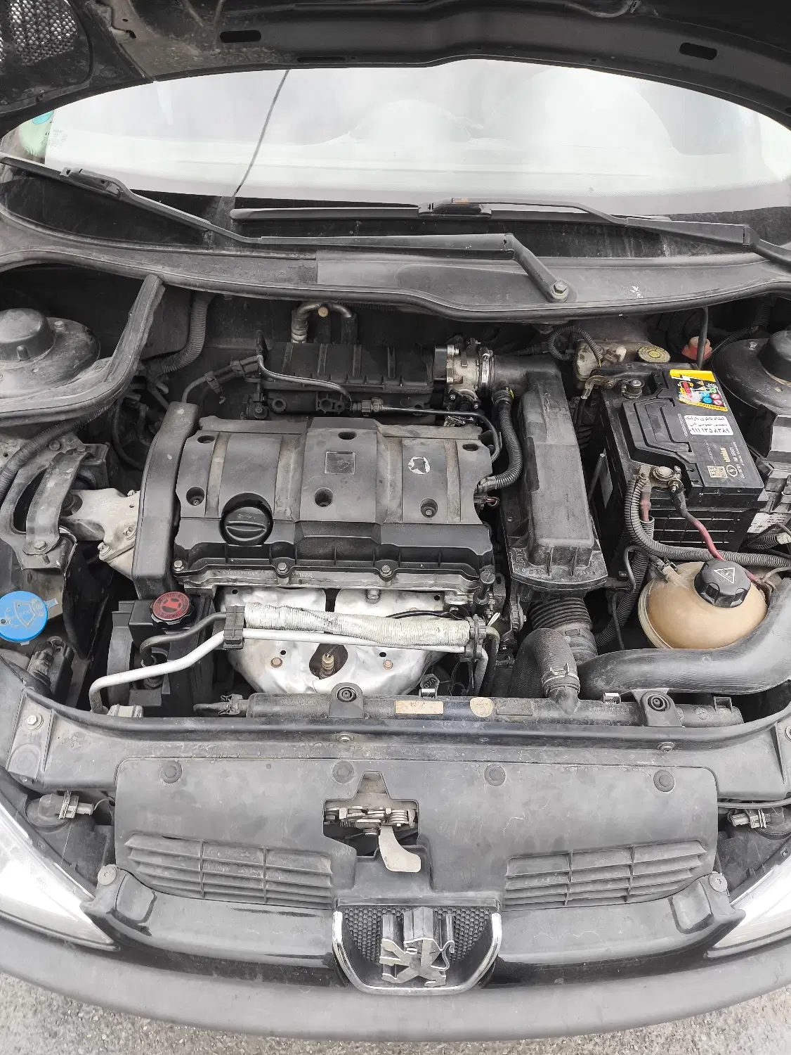 پژو sd v8|خودرو سواری و وانت|رشت, امین الضرب|دیوار