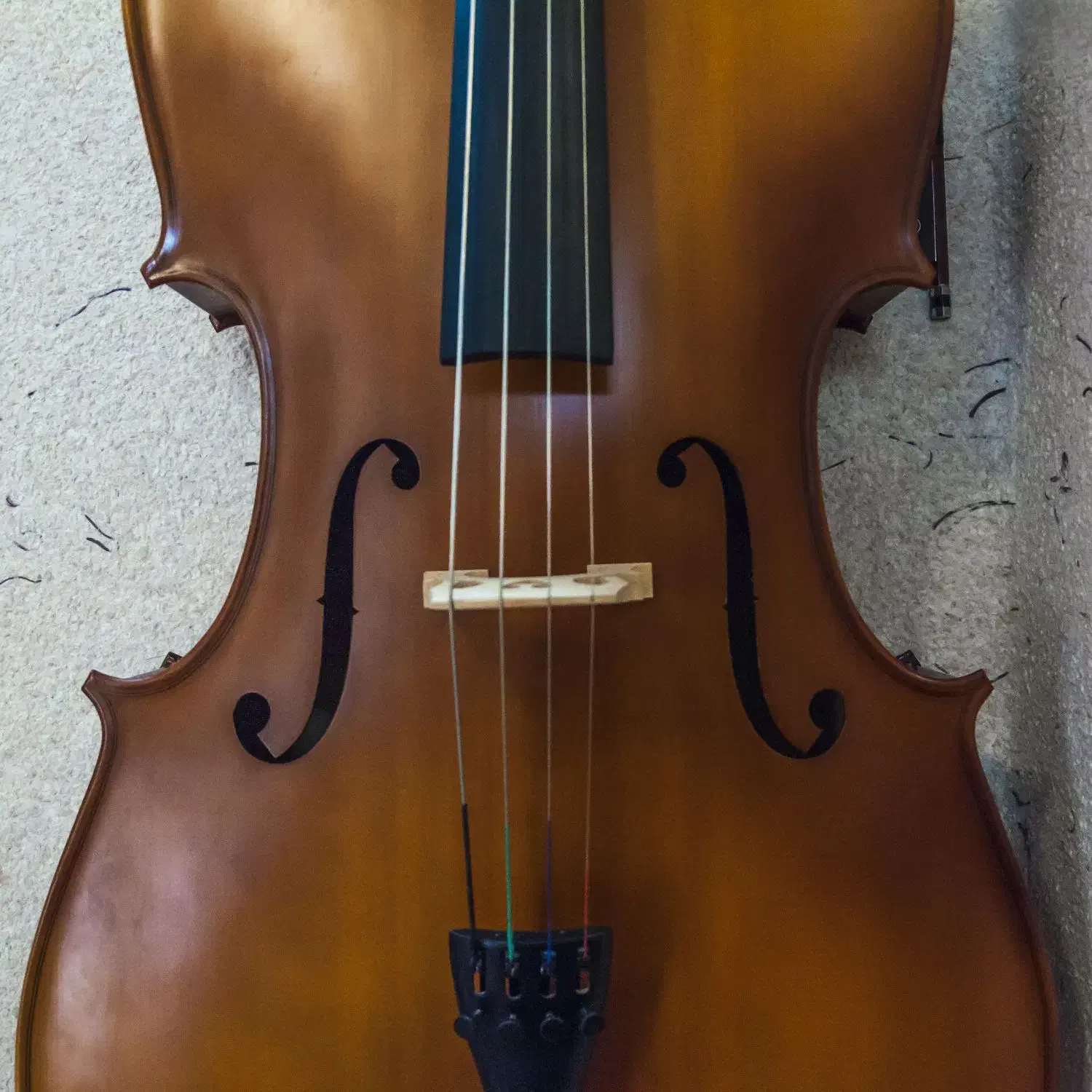 ویولنسل / ویلنسل / ویولونسل / چلو|ویولن|شیراز, گلکوب|دیوار