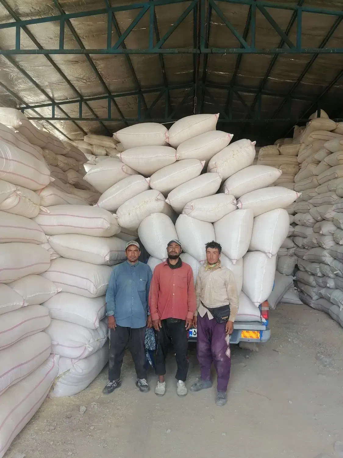 کاه دیم سرخوشه ازنا لرستان|لوازم جانبی حیوانات|خمینی‌شهر, |دیوار