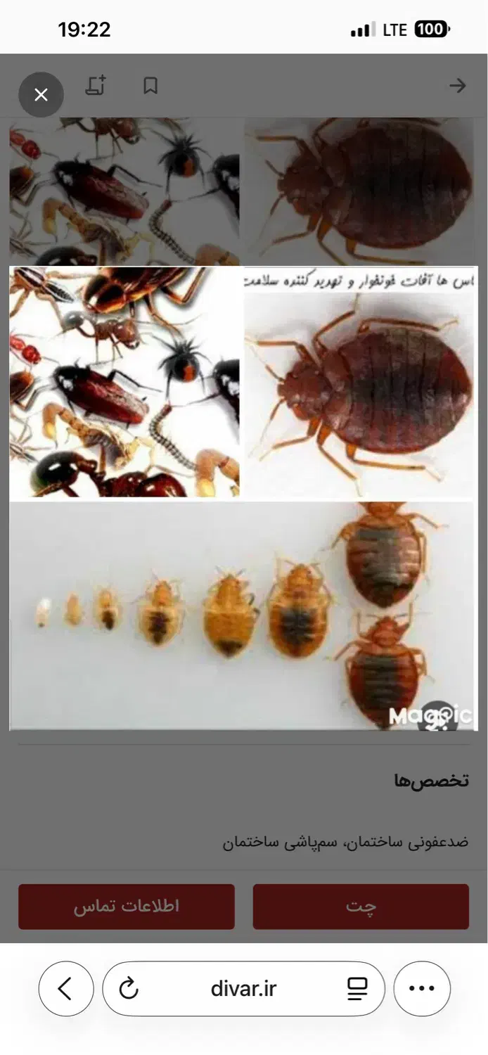 سمپاشی و موریانه زدایی با ضمانت کتبی (محمد حسینی )|خدمات نظافت|خرم‌آباد, |دیوار