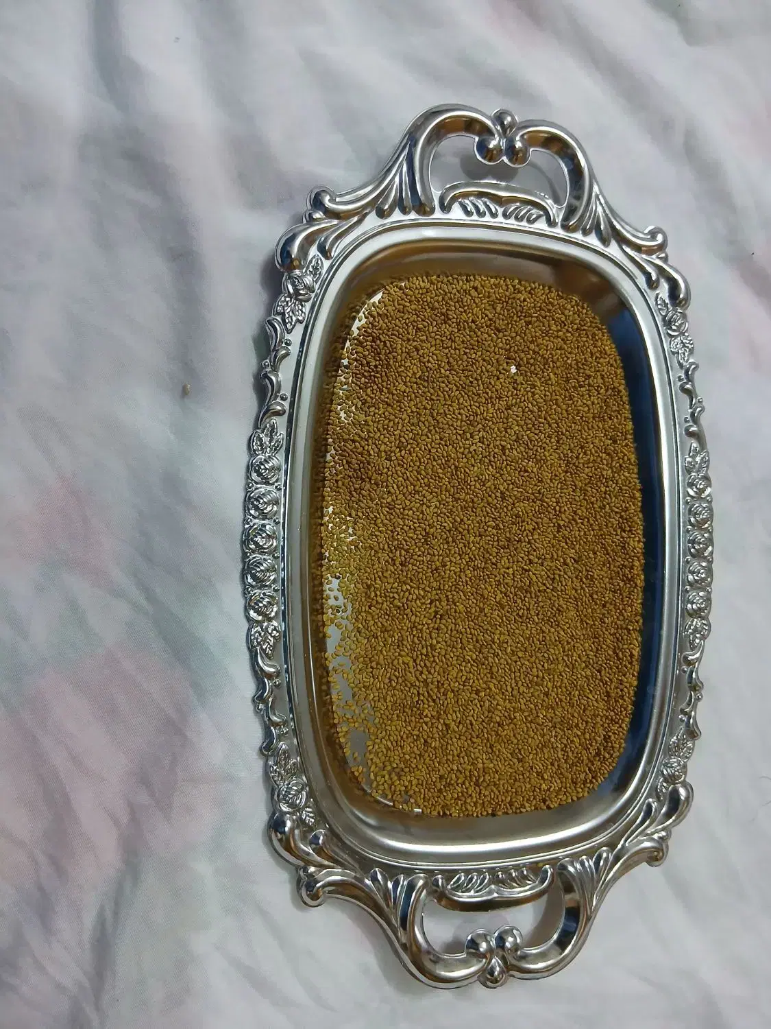 بذرینجه|خدمات باغبانی و درختکاری|قهدریجان, |دیوار