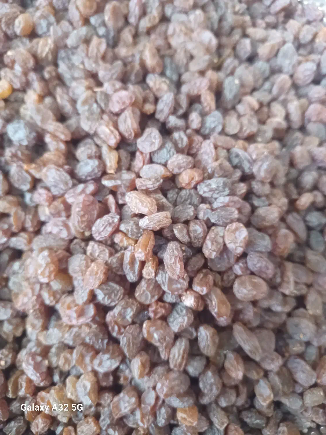 کشمش پاک شده ارگانیک شب چله|خوردنی و آشامیدنی|کرمانشاه, |دیوار