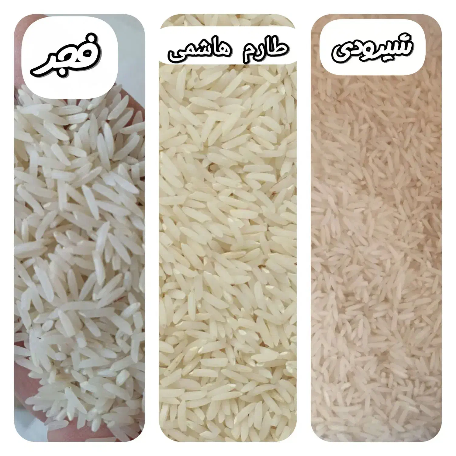 برنج درجه یک شرق مازندران|خوردنی و آشامیدنی|جم, |دیوار