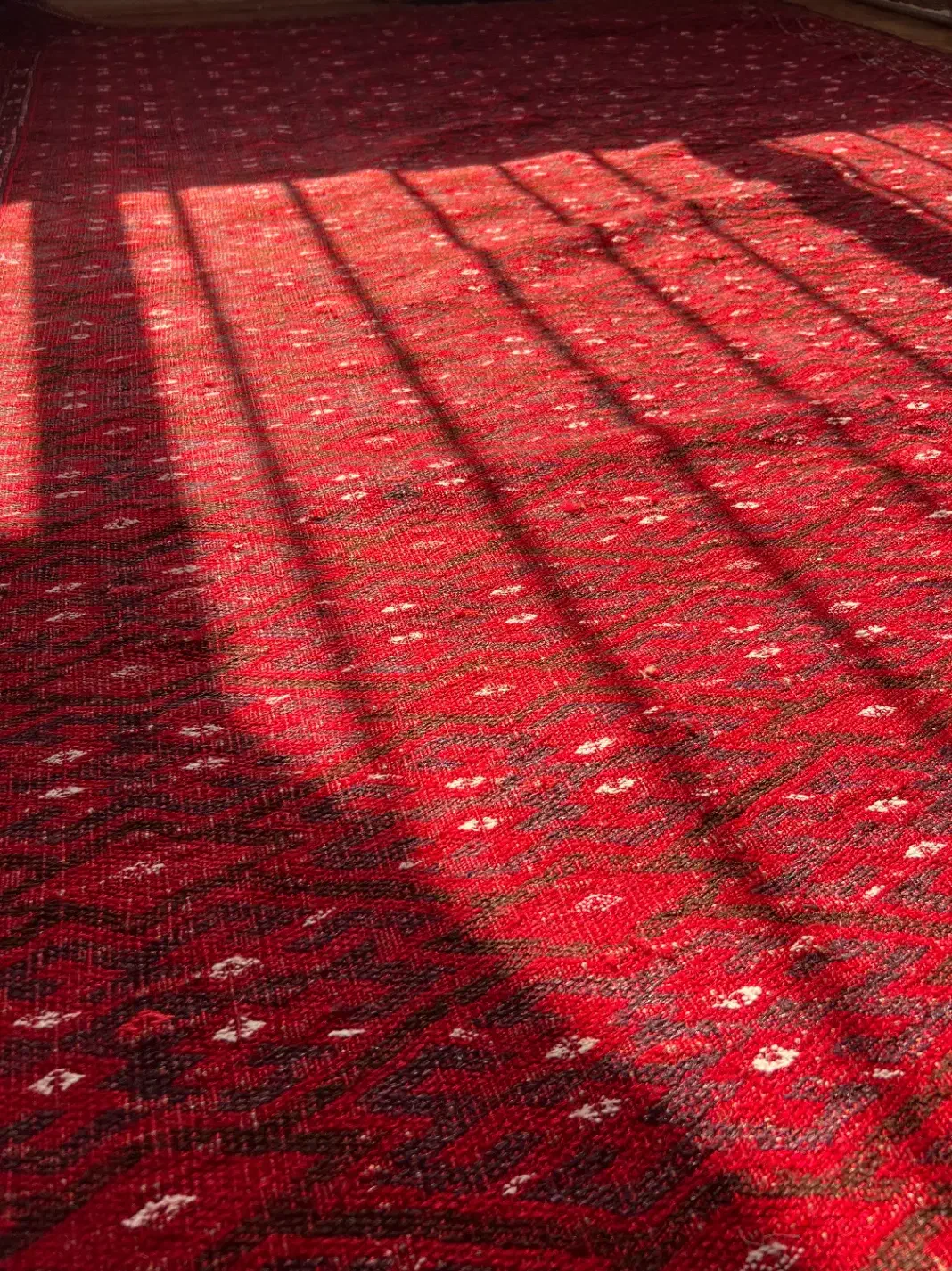 گلیم دستباف|گلیم، جاجیم، گبه|تهران, کامرانیه|دیوار