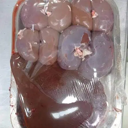 جگرشتر گوشت شیرشتر شتر جگر دوغ شترمرغ تازه دل شیر|خوردنی و آشامیدنی|تهران, چیذر|دیوار
