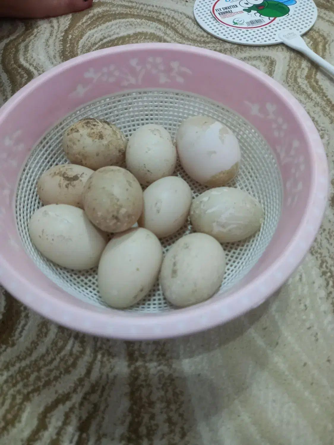 تخم اوردک روسی به شرط نطفه|حیوانات مزرعه|دزفول, |دیوار