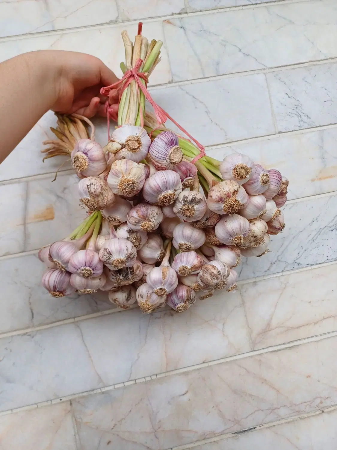 سیر محلی|خوردنی و آشامیدنی|ماسال, |دیوار