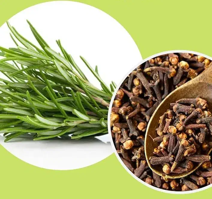 پرپشت شدن مو با رزماری و میخک|آرایشی، بهداشتی، درمانی|کوهدشت, |دیوار