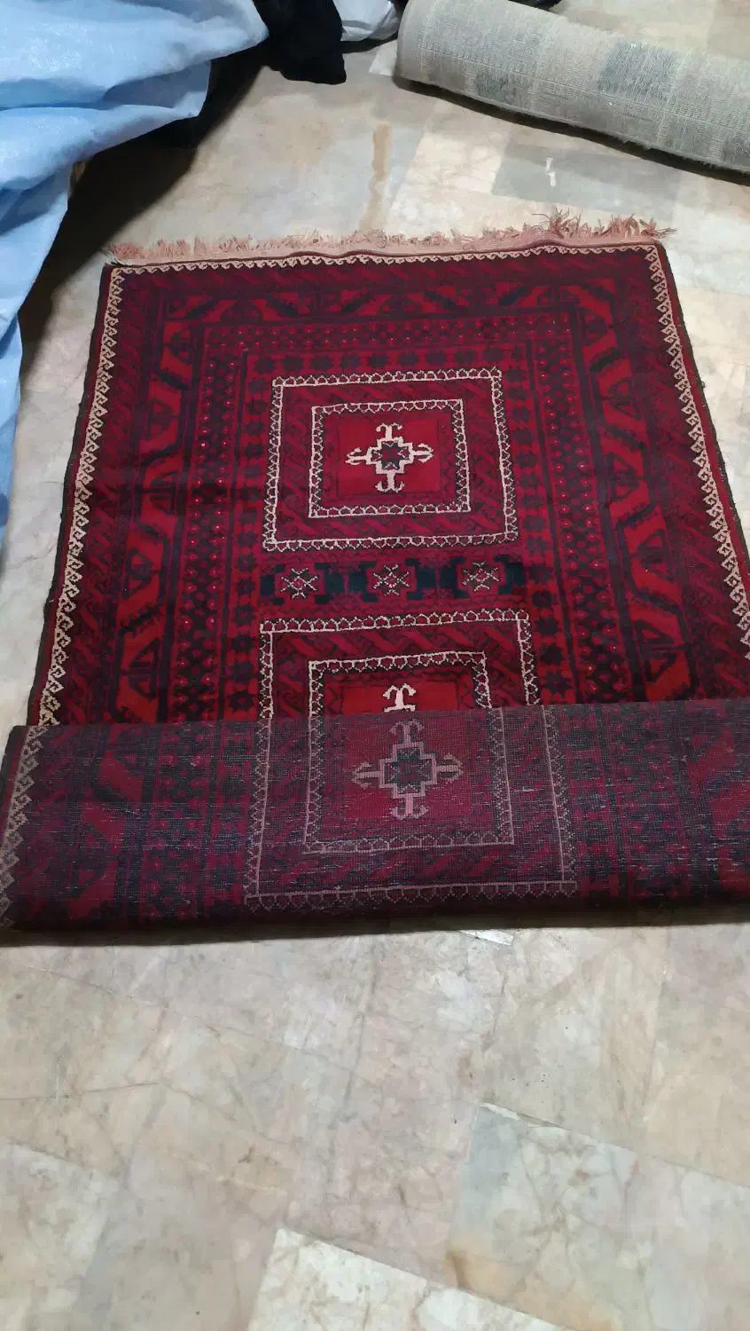 قالی چه ترکمنی پشمی دستی|فرش|مشهد, فلسطین|دیوار