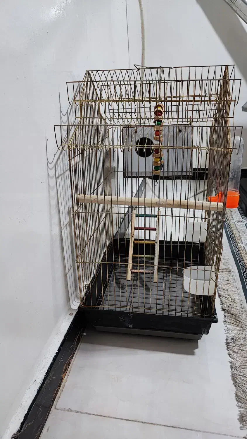 قفس پرنده به همراه وسایل کامل ولانه|لوازم جانبی حیوانات|چناران, |دیوار
