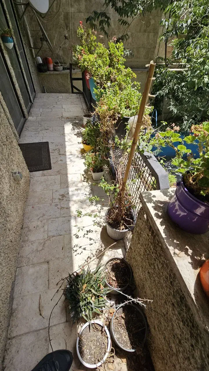 ۶۱۰متر مستغلات ۴۱۰متر حیاط و ۲۰۰متر بنا و ۴۰ متر|اجارهٔ خانه و ویلا|تهران, آسمان|دیوار