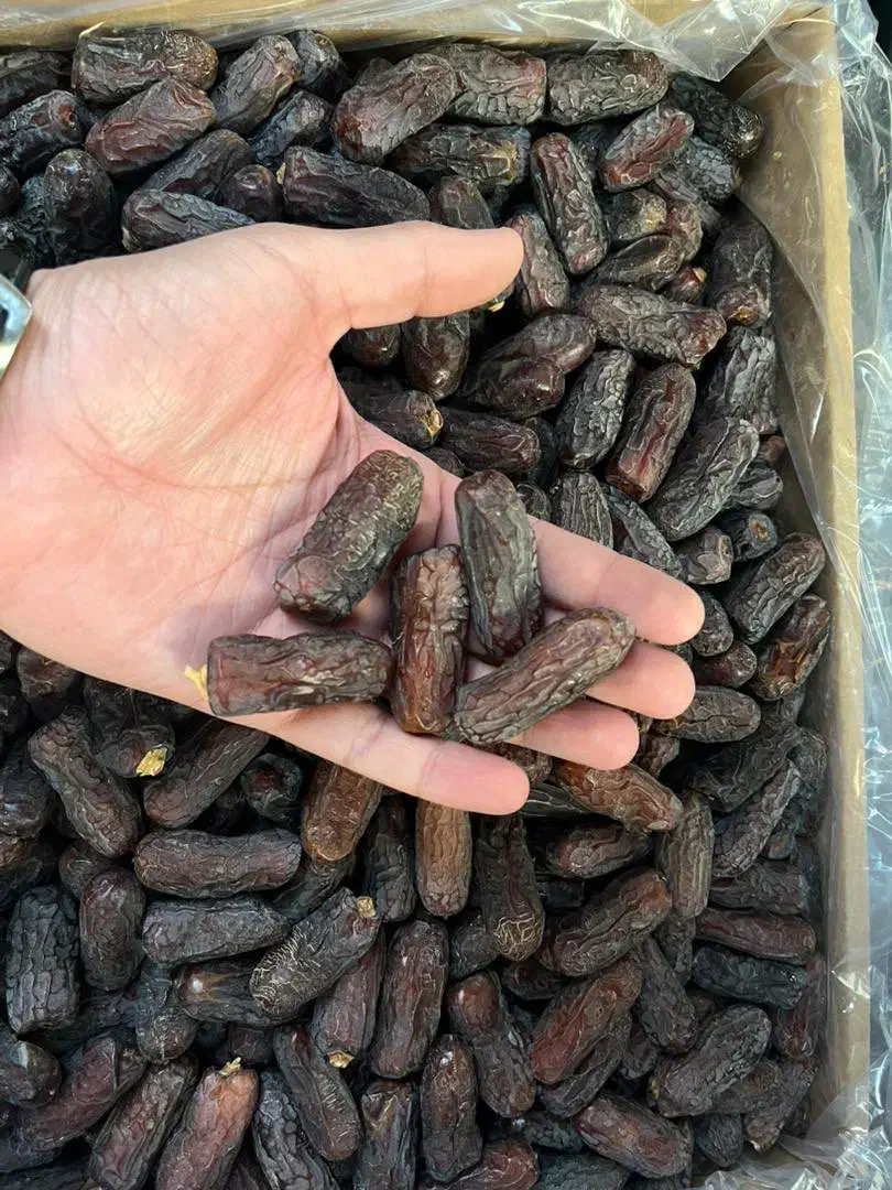 خرما پیارم|خوردنی و آشامیدنی|تهران, مولوی|دیوار