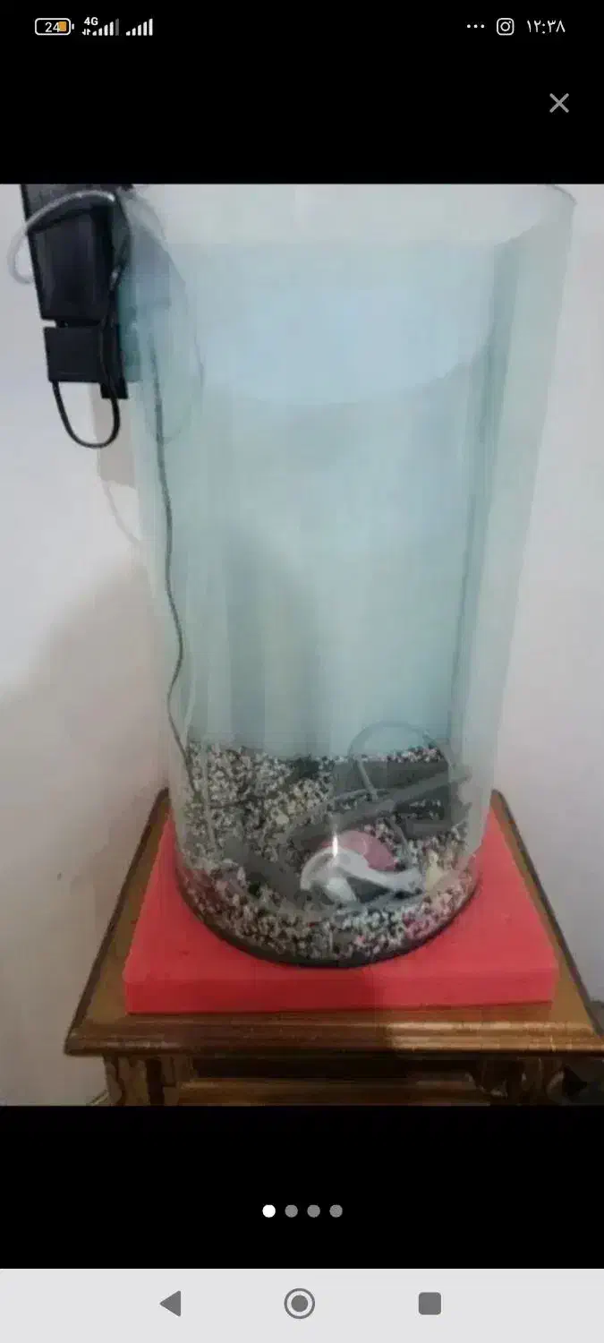 آکواریوم منحنی بزرگ|ماهی|پرند, فاز ۶|دیوار