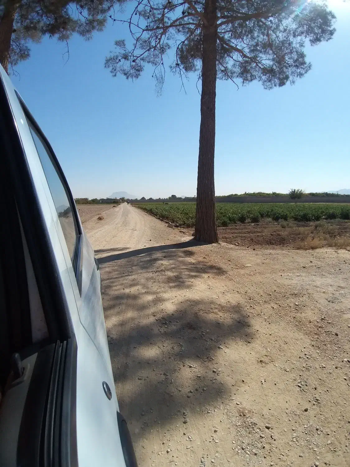 زمین کشاورزی|فروش دفتر صنعتی، کشاورزی، تجاری|نجف‌آباد, جوزدان|دیوار