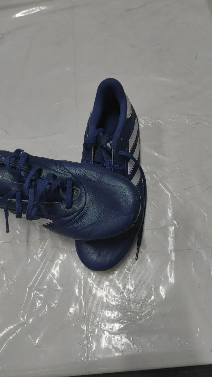 کفش فوتبال|کیف، کفش، کمربند|سبزوار, قصبه اب یمین|دیوار