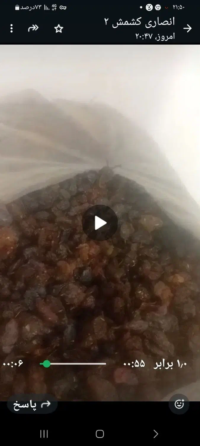 کشمش فروشی انصاری انواع مختلف کشمش|عمده‌فروشی|تاکستان, |دیوار