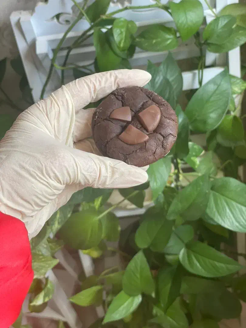 انواع کوکی پذیرایی و کافیشاپی|خوردنی و آشامیدنی|شیراز, معالی‌آباد|دیوار