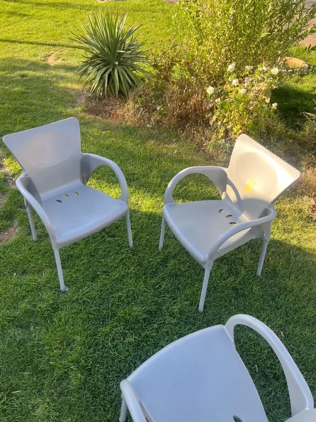 صندلی مطبی نو نو|دفتر کار|سنندج, |دیوار