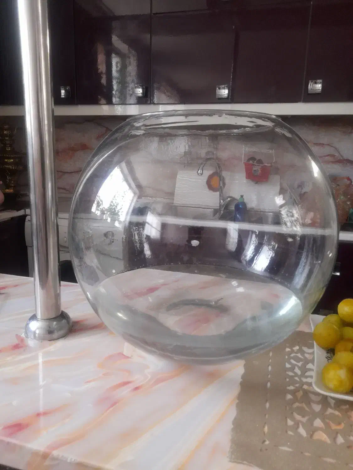 تنگ بزرگ|ماهی|شهر ری, جوانمرد قصاب|دیوار