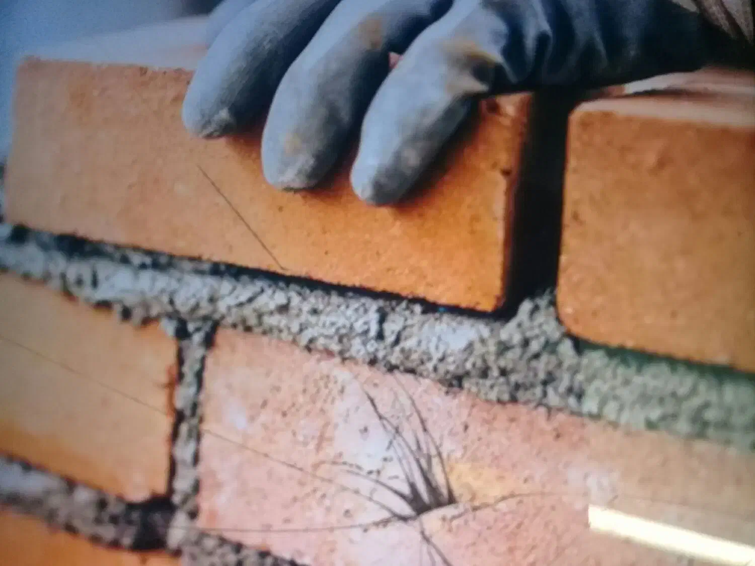 بنائی وکاشیکاری وسیمانکاری و....|خدمات پیشه و مهارت|زنجان, |دیوار