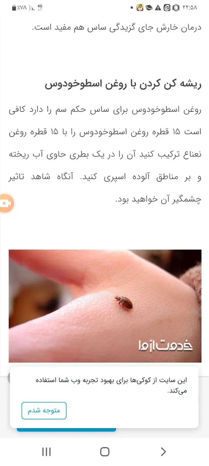 مشورت|فعالیت داوطلبانه|قم, شهرک توانیر|دیوار