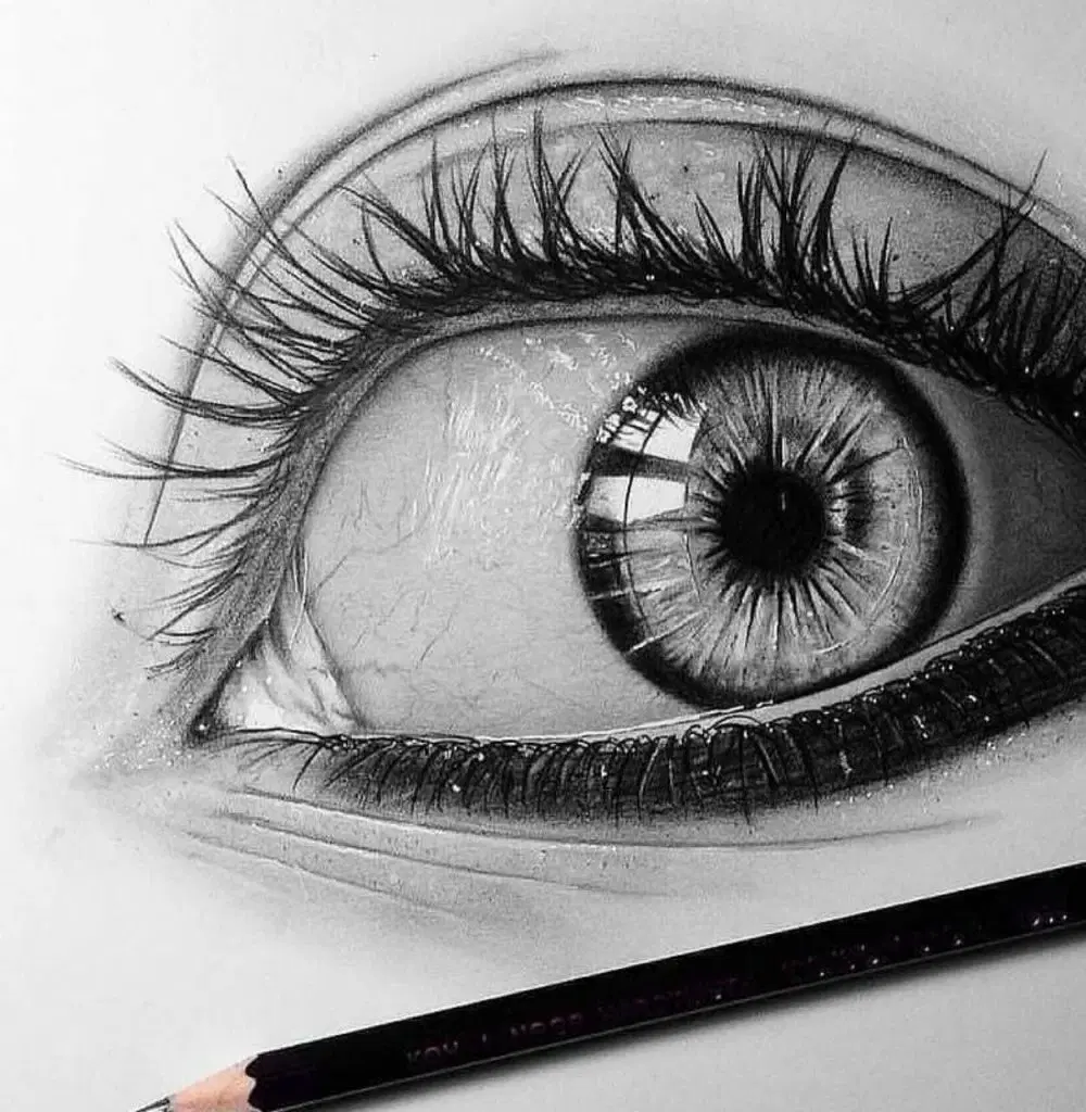 سیاه قلم|تابلو، نقاشی، عکس|شوشتر, |دیوار