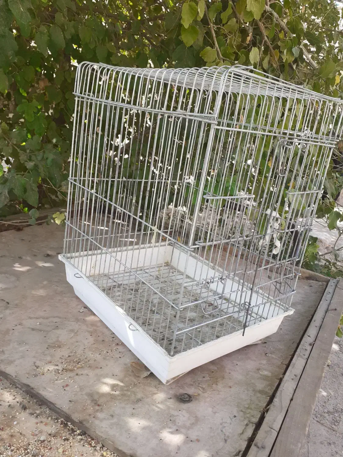 قفس عروسی هلندی|لوازم جانبی حیوانات|قرچک, پویینک|دیوار