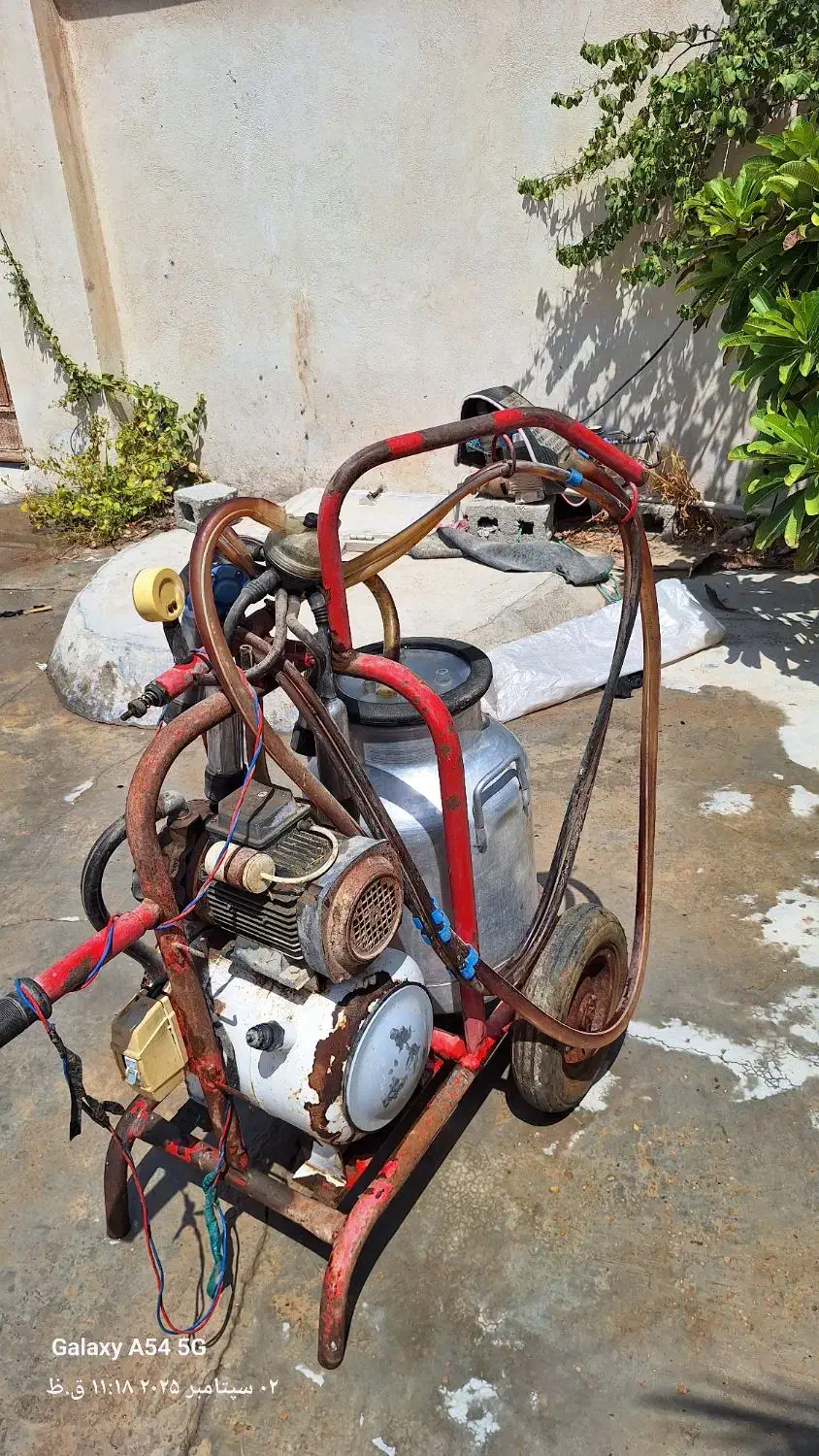 شیر دوش گاو تک واحد|ماشینآلات صنعتی|آبپخش, |دیوار