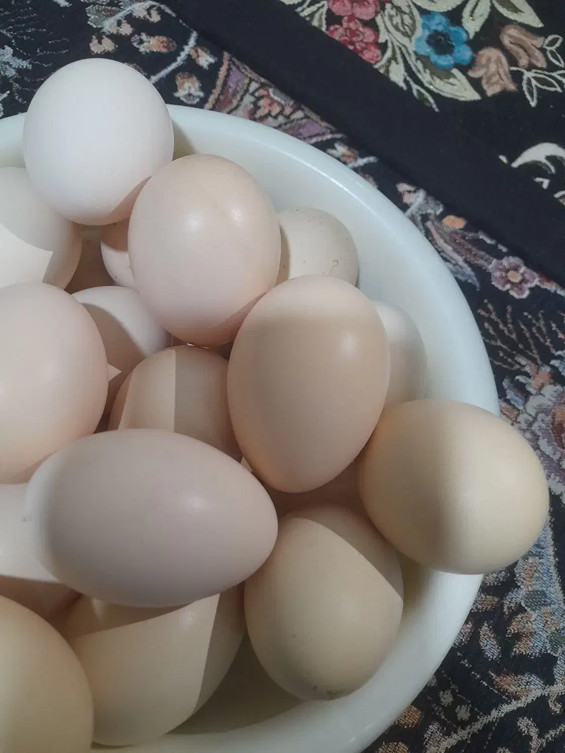 تخم مرغ|حیوانات مزرعه|بم, |دیوار