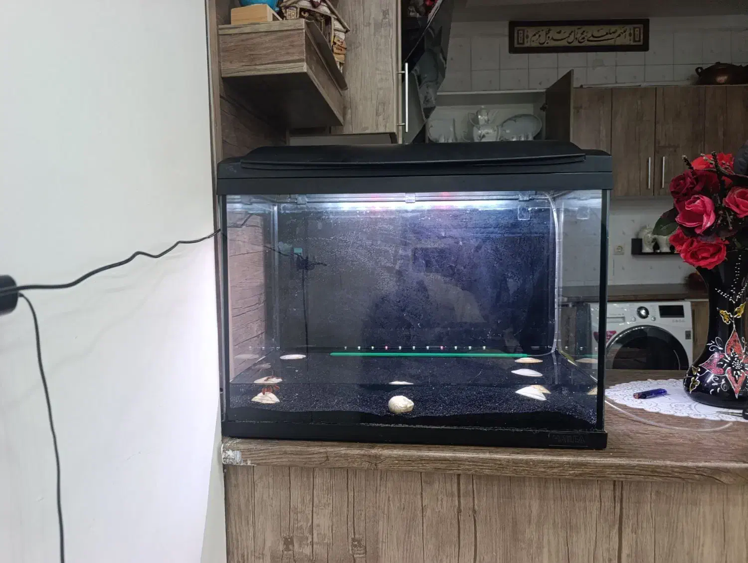 اکواریم هایلا  مدل f60|ماهی|بومهن, |دیوار