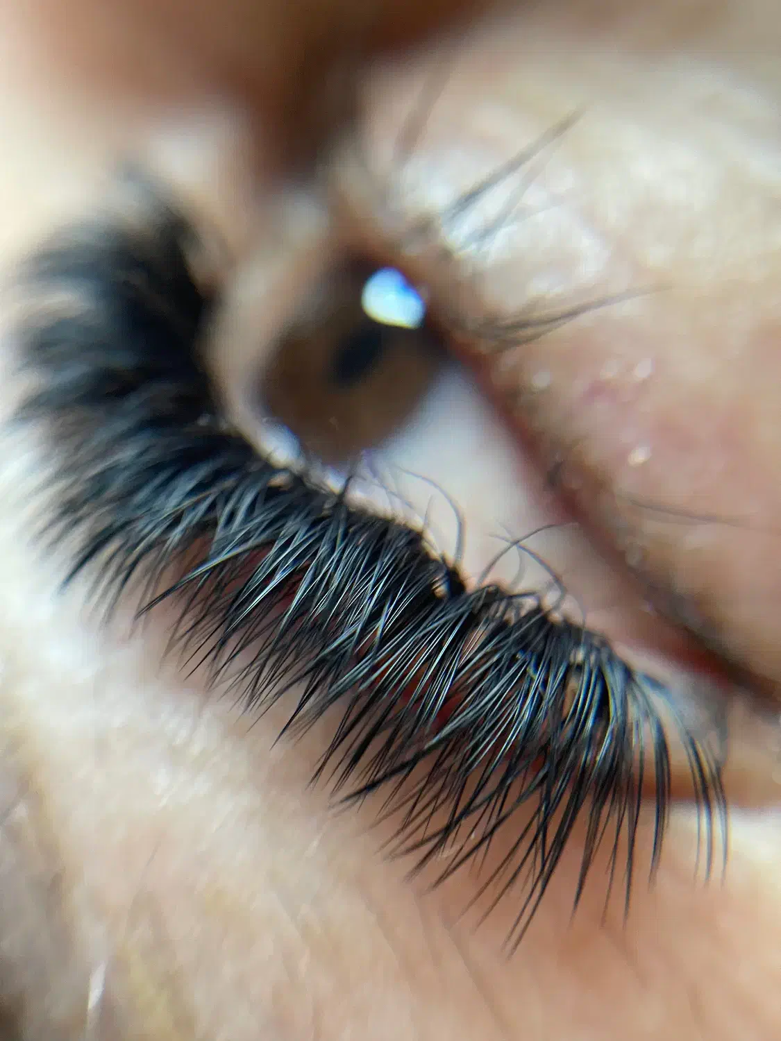 خدمات اکستنشن مژه|خدمات آرایشگری و زیبایی|آمل, |دیوار