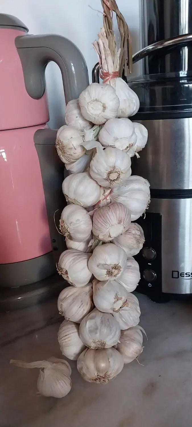 سیر/محلی|خوردنی و آشامیدنی|گوراب زرمیخ, |دیوار