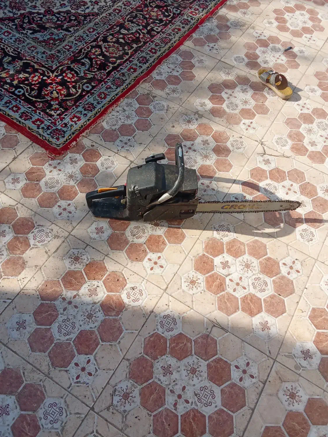 قطع نخل|خدمات باغبانی و درختکاری|میناب, |دیوار