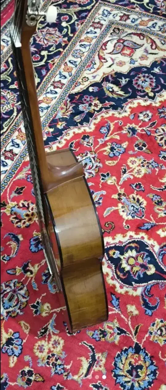 گیتار اصل|گیتار، بیس، امپلیفایر|زاهدان, |دیوار